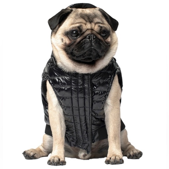 Canada Pooch Other - Canada Pooch Black Shiny Puffer Vest NWT Size 10
